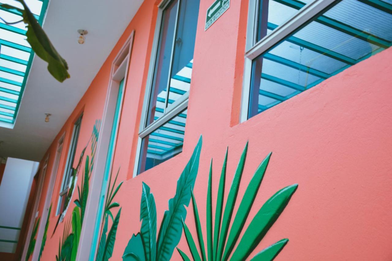 Flamingo Hostel & Coworking Santa Marta  Luaran gambar