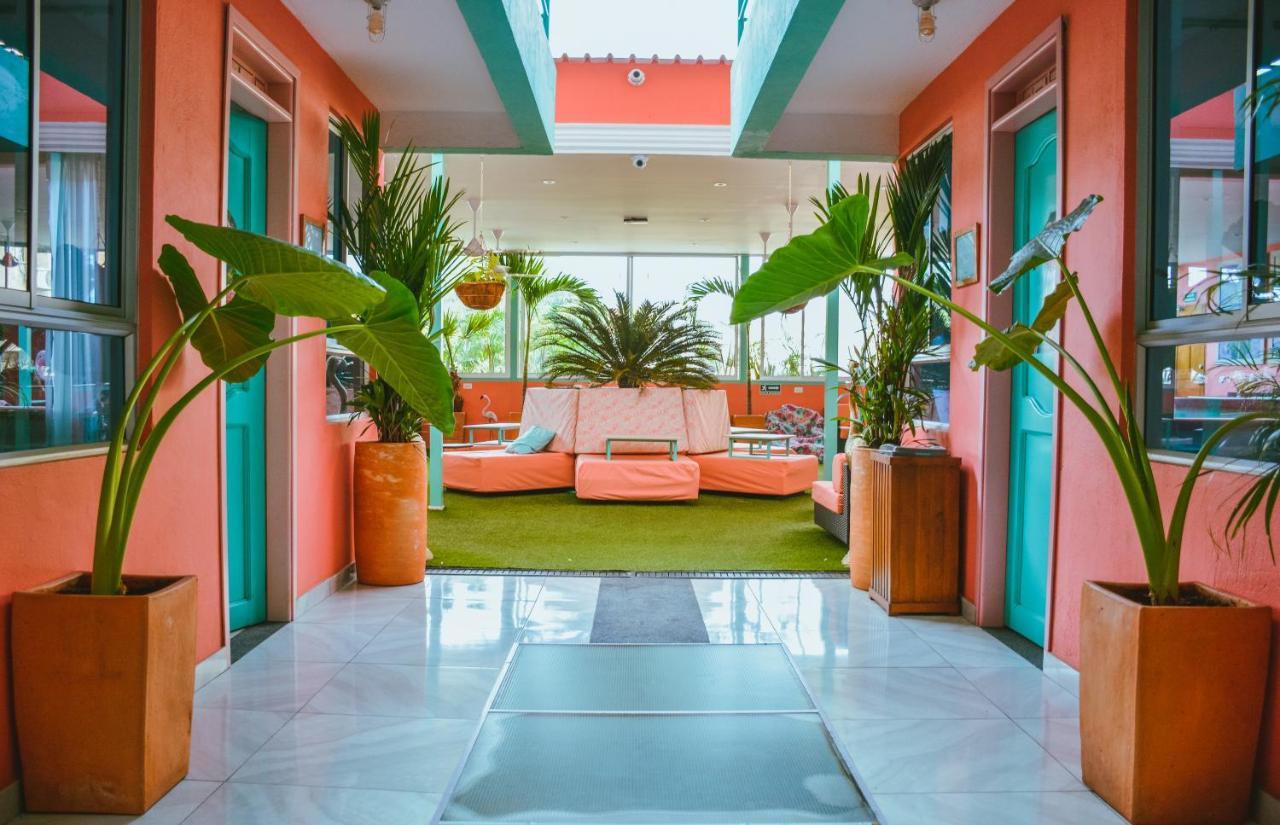Flamingo Hostel & Coworking Santa Marta  Luaran gambar