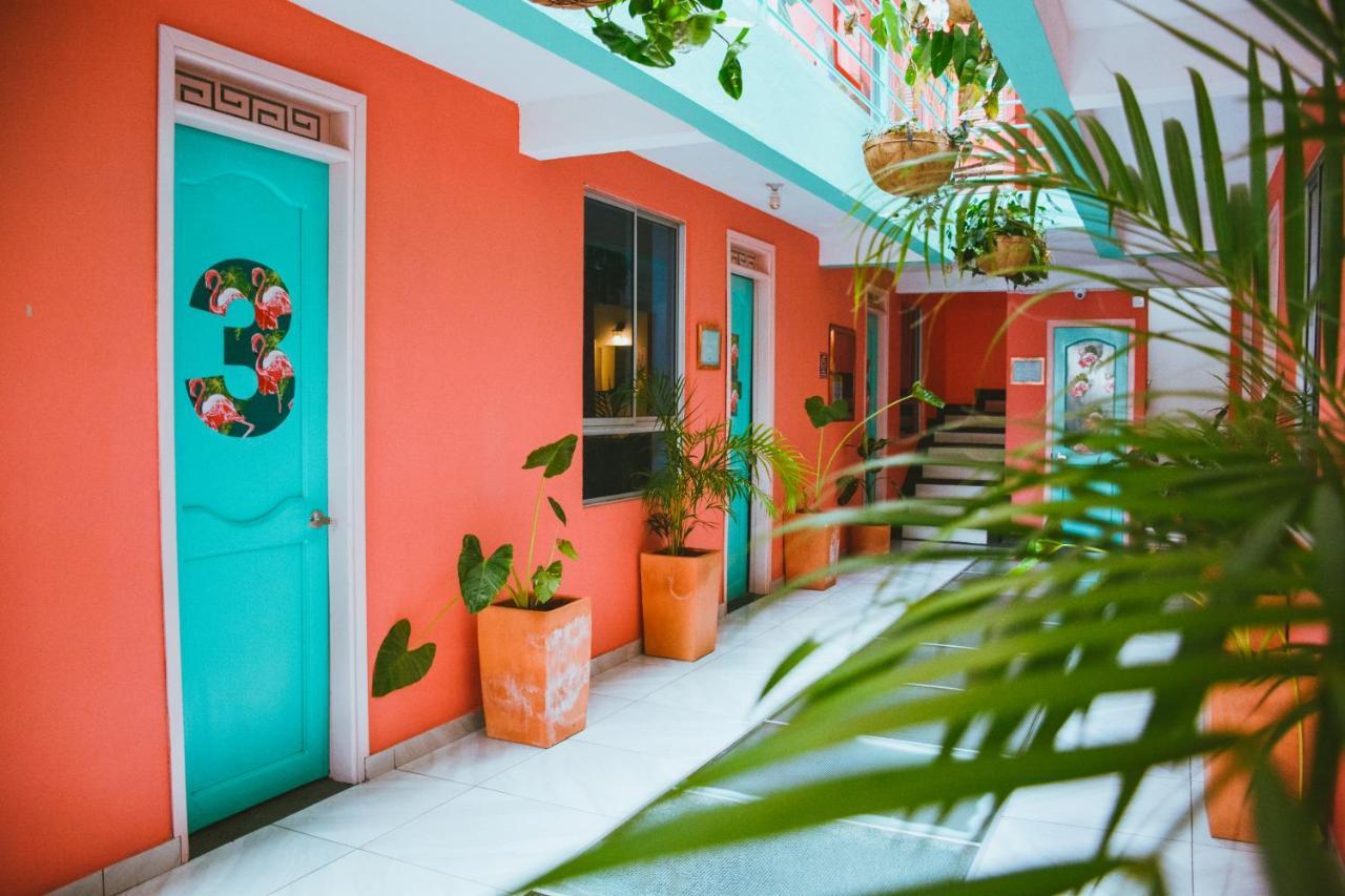 Flamingo Hostel & Coworking Santa Marta  Luaran gambar