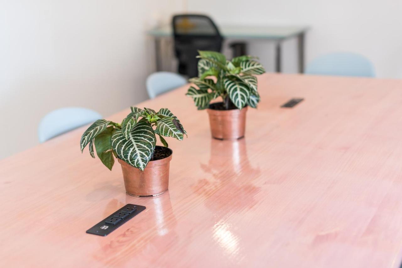 Flamingo Hostel & Coworking Santa Marta  Luaran gambar